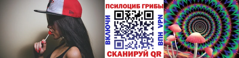 Галлюциногенные грибы Psilocybine cubensis  дарнет шоп  Чадан 